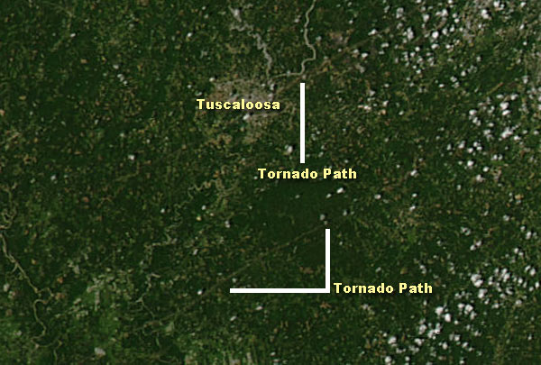 tuscaloosa tornado 2000. the Tuscaloosa tornado is